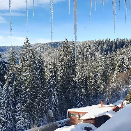 Palace Appartement Pamporovo